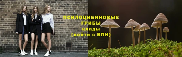 гидра Алексин