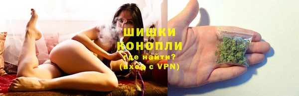 молекула духа Покачи
