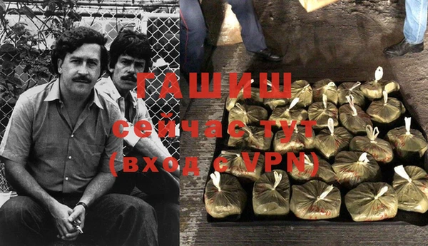 гидра Алексин