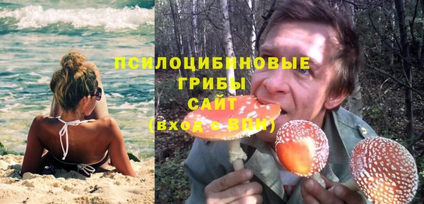 соль ск Алексеевка