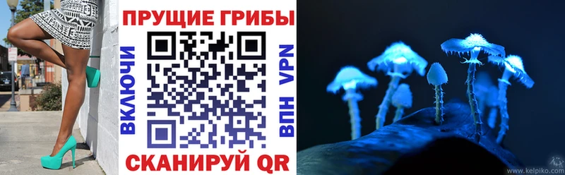 кракен маркетплейс  Нестеров  Галлюциногенные грибы мухоморы  даркнет сайт 